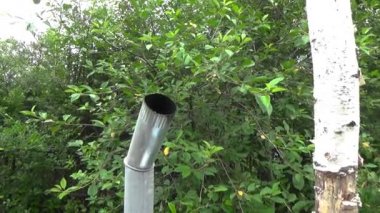 Boru samovar üzerine konur