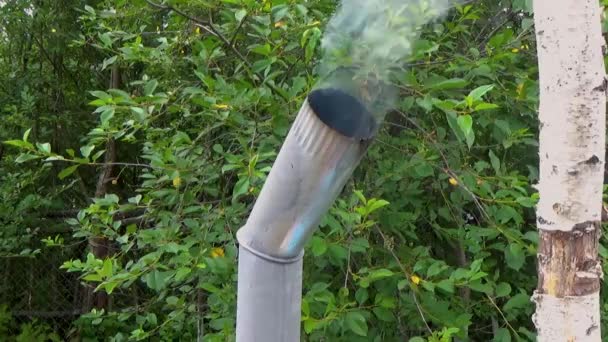 Queimaduras de fogo no samovar — Vídeo de Stock