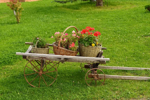 Dekoracyjne Wózek Kwiatami Zielony Trawnik Lecie — Zdjęcie stockowe