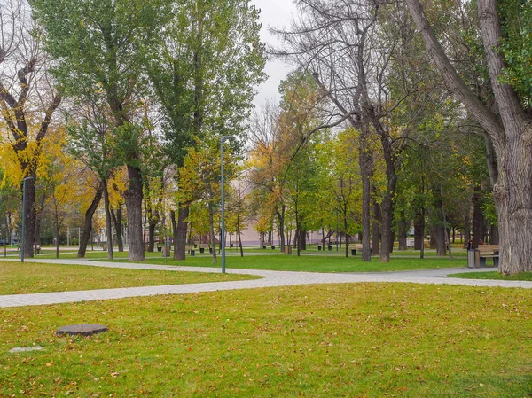 Ağaçlar Sonbahar parkta yol boyunca yeşillik sarılık ile.