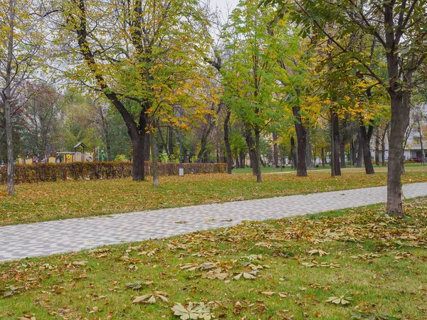 Trees Yellowing Foliage Path Autumn Park — Stock Photo, Image