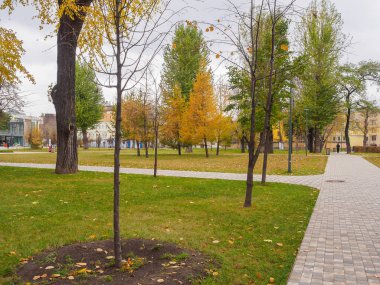 Ağaçlar Sonbahar parkta yol boyunca yeşillik sarılık ile.