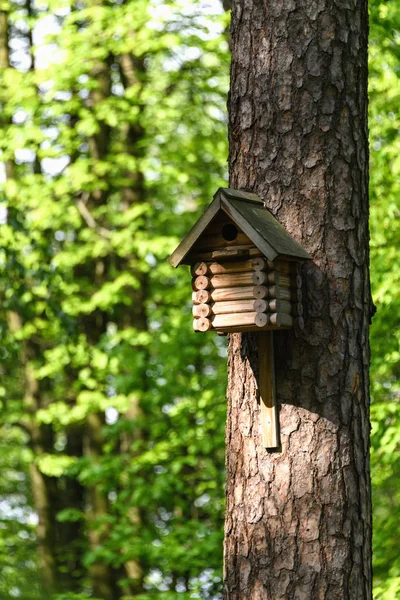 春の公園の木の上の鳥小屋 鳥のために手作りの鳥小屋 — ストック写真