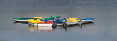 Yaz aylarında parkta gölüzerinde çok renkli tekneler grubu.