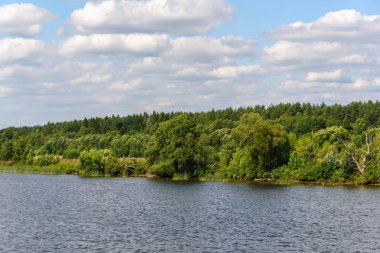 Nehir kıyısındaki ağaçlar. Bir yaz gününde doğal manzara.