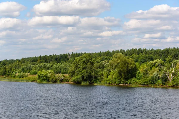 Drzewa Nad Rzeką Naturalny Krajobraz Letni Dzień — Zdjęcie stockowe