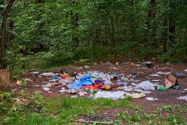 A large pile of trash in the forest. The danger of environmental pollution. It is necessary to protect nature.