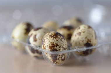 Plastik bir kutuda bıldırcın yumurtası. Küçük renkli bıldırcın yumurtaları..