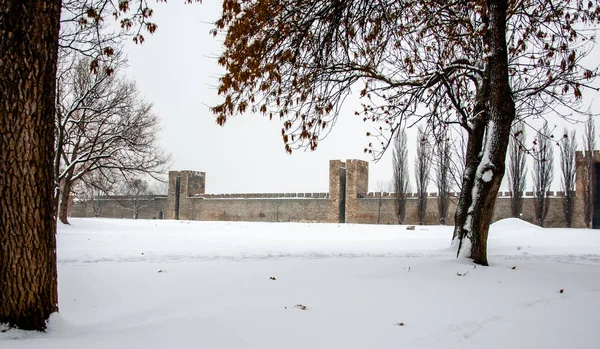 Ortaçağ Kalesi ve savunma duvar, Smederevo, Sırbistan