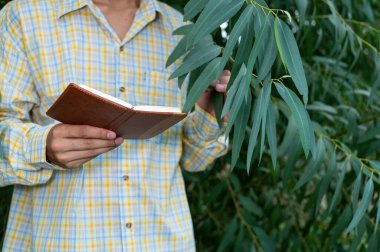 Çiftçiler bahçedeki ağaçların kalitesini kontrol eder.