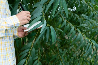 Çiftçiler bahçedeki ağaçların kalitesini kontrol eder.
