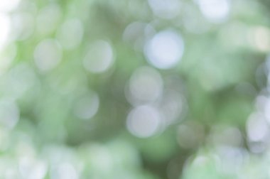 Yeşil ışık doğal ışıktan yankılanıyor