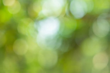 Doğal ışık yeşil çember arkaplanı bokeh