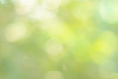 Doğal ışık yeşil çember arkaplanı bokeh