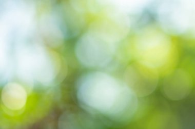 Doğal ışık yeşil çember arkaplanı bokeh