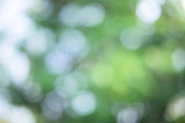 Bokeh küresi doğal ışık arkaplanından yeşil