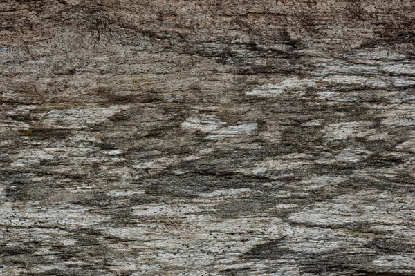 Eski ahşap desen soyut arkaplan