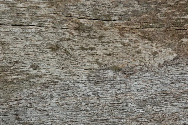 Vieux Motif Bois Texture Fond Abstrait — Photo