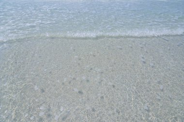 Gün boyunca açık deniz dalgaları ve kumlu plajlar