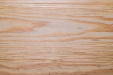 Amerika Desenli Çam Ağacı zemin