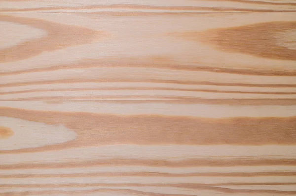 Amerika Desenli Çam Ağacı Zemin — Stok fotoğraf