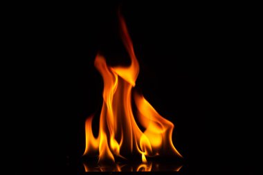 Close-up shot of a black background flame