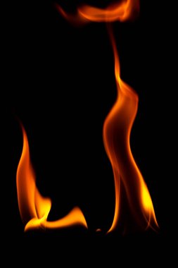 Close-up shot of a black background flame