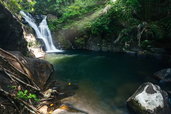 Paysages Naturels Forêts Cascades Khlong Pla Kang — Photo