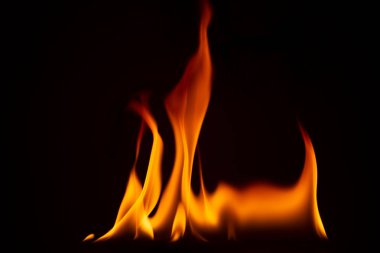 Close-up shot of a black background flame