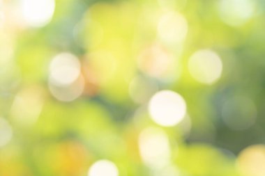 Doğal ışıktan Bokeh