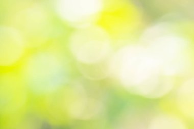 Doğal ışıktan Bokeh