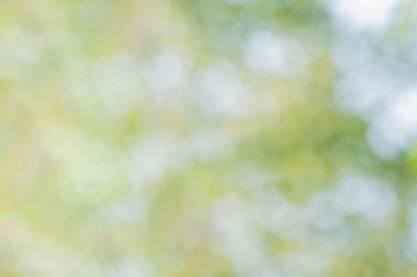 Doğal ışıktan Bokeh