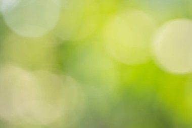 Doğal ışıktan Bokeh