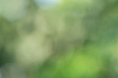 Doğal ışıktan Bokeh