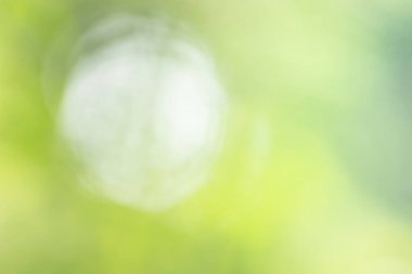 Doğal ışıktan Bokeh