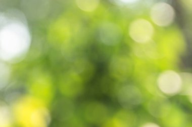 Doğal ışıktan Bokeh