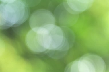 Doğal ışıktan Bokeh