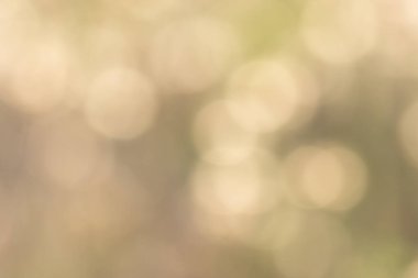 Doğal ışıktan Bokeh