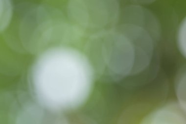 Doğal ışıktan Bokeh arkaplanı