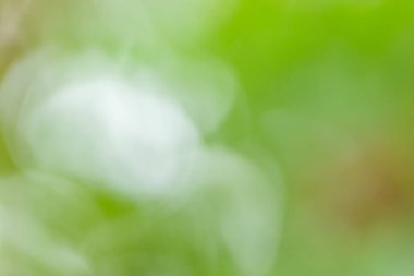 Doğal ışıktan Bokeh arkaplanı