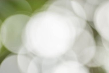 Doğal ışıktan Bokeh arkaplanı