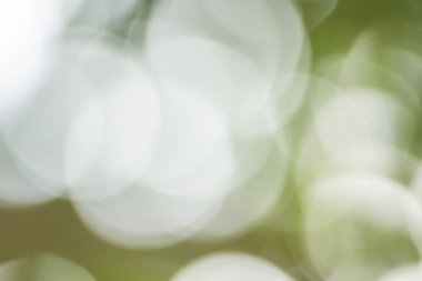 Doğal ışıktan Bokeh arkaplanı