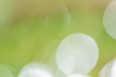 Doğal ışıktan Bokeh arkaplanı