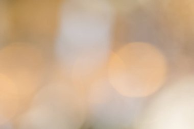 Doğal ışıktan Bokeh