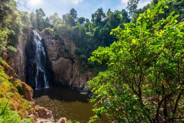 Orman ve doğa koruma kavramları