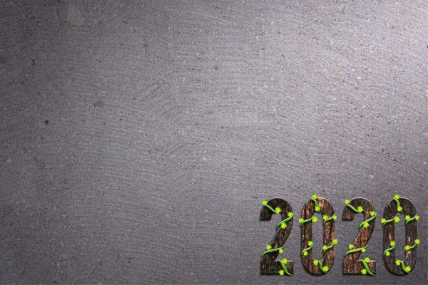 字母2020 木纹质感 有一千棵藤蔓 水泥地面背景 — 图库照片