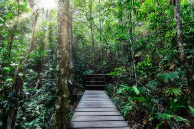 Orman ve doğa koruma kavramları