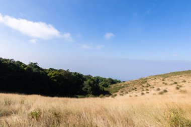 Kew Mae Pan 'daki doğal manzara ve ağaçlar