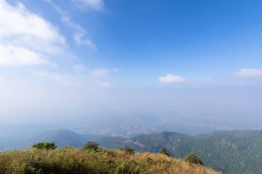Kew Mae Pan 'daki doğal manzara ve ağaçlar