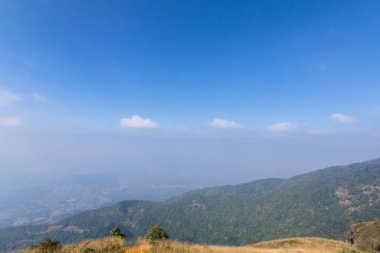 Kew Mae Pan 'daki doğal manzara ve ağaçlar